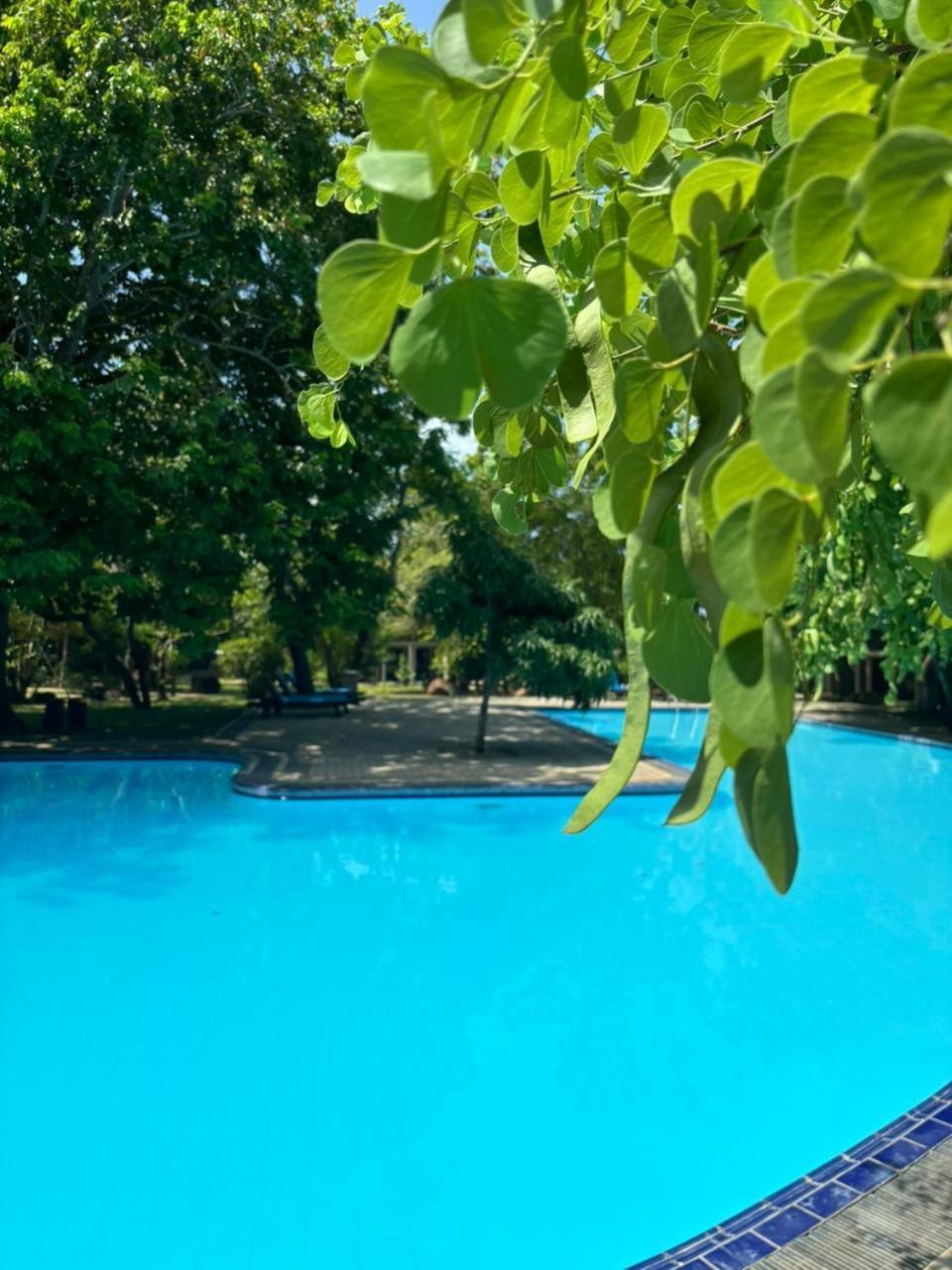 Hotel Elephant Reach Yala Buitenkant foto