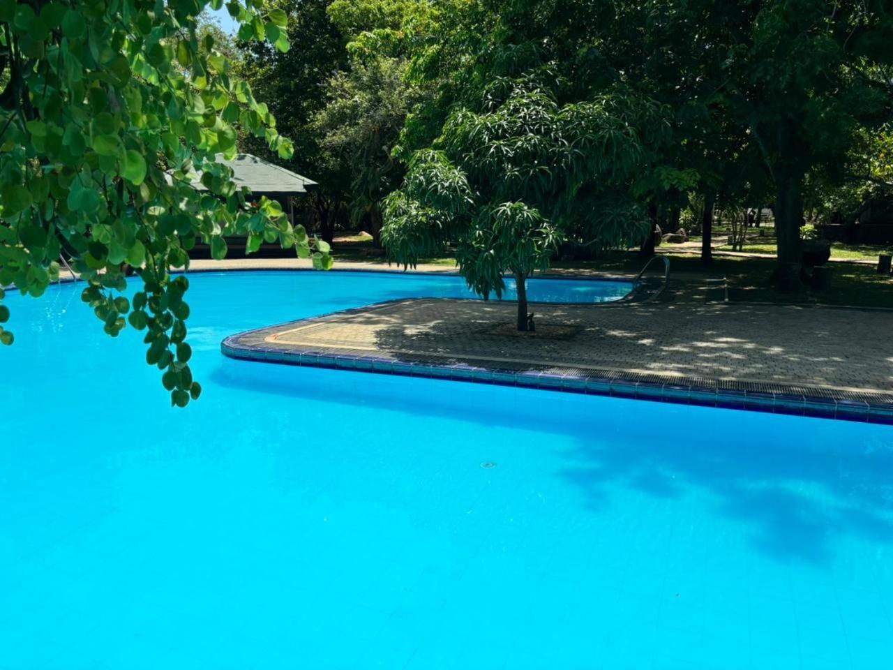Hotel Elephant Reach Yala Buitenkant foto