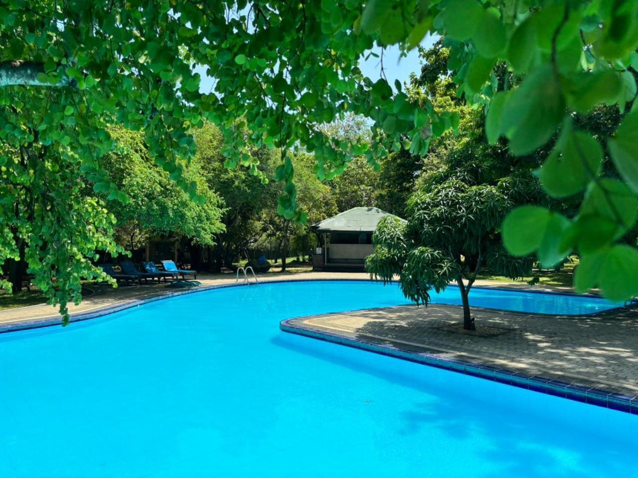 Hotel Elephant Reach Yala Buitenkant foto